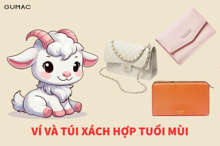 vi va tui xach hop tuoi mui