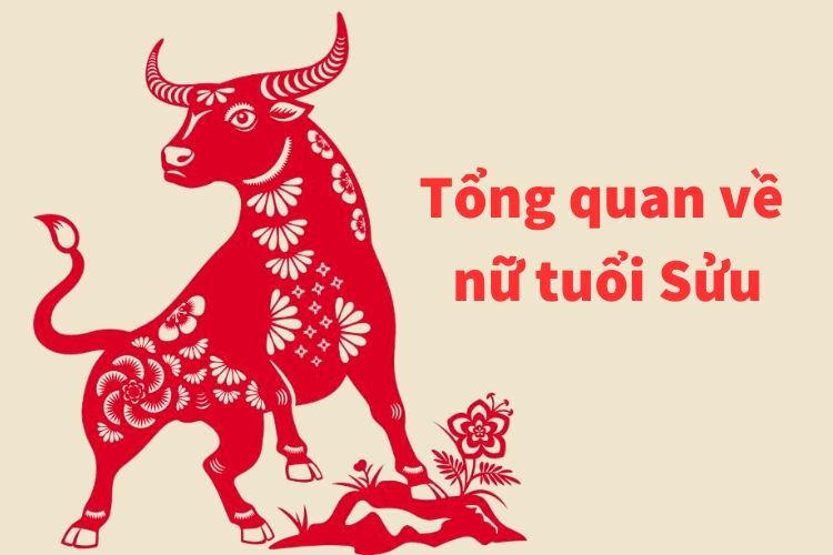 tong quan ve nu tuoi suu