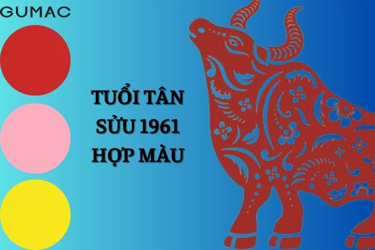 tan suu 1961 hop mau gi
