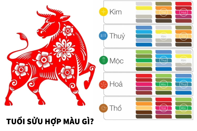 tuoi suu hop mau gi nam 2026