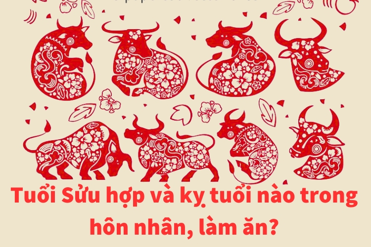 tuoi suu hop va ky tuoi nao trong hon nhan lam an