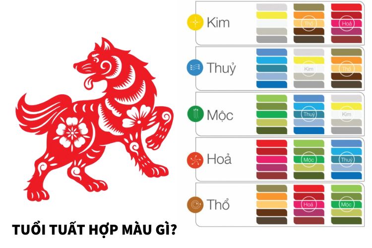 tuoi tuat hop mau gi