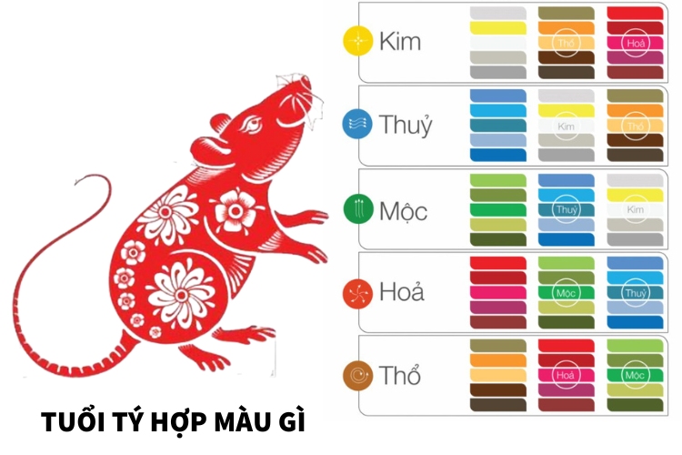 tuoi ty hop mau gi nam 2026 