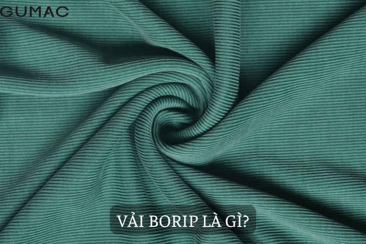 vai borip la gi