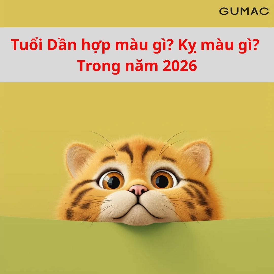 nam 2026 tuoi ho hop mau gi ky mau gi