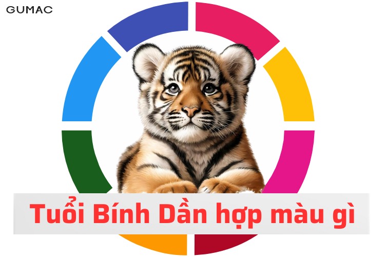tuoi binh dan hop mau gi