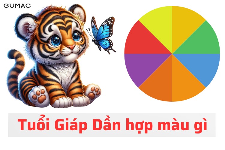 giap dan 1974 hop mau gi
