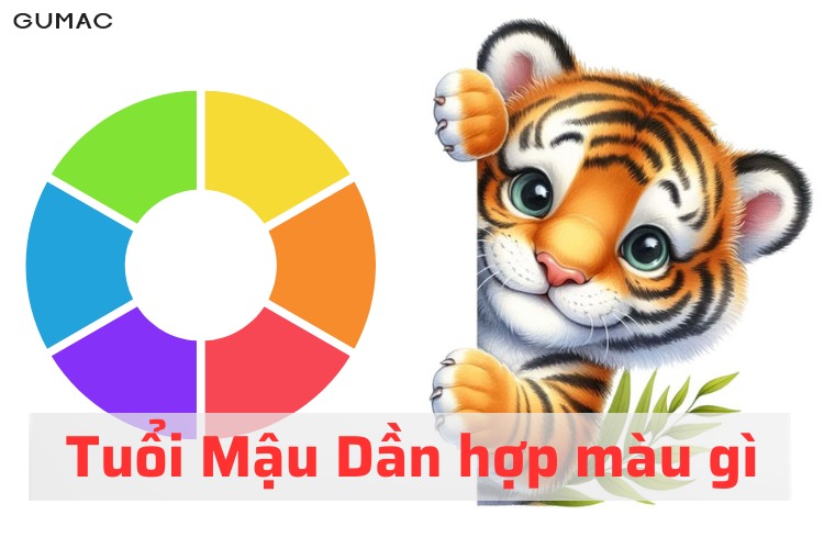 mau dan 1998 hop mau gi 2025