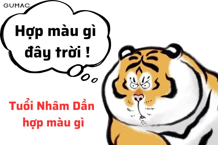 nham dan 1962 hop mau gi