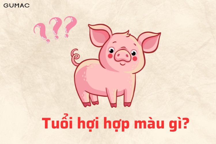 tuoi hoi hop mau gi