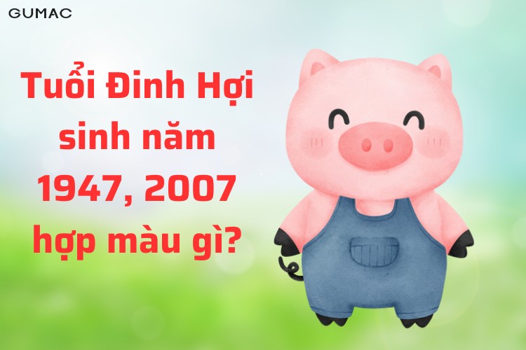dinh hoi 1947 2007 hop mau gi