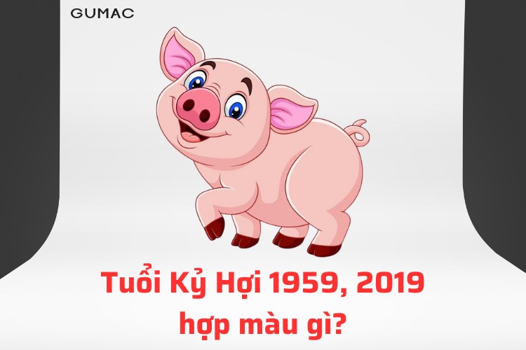 ky hoi tuoi hoi hop mau gi