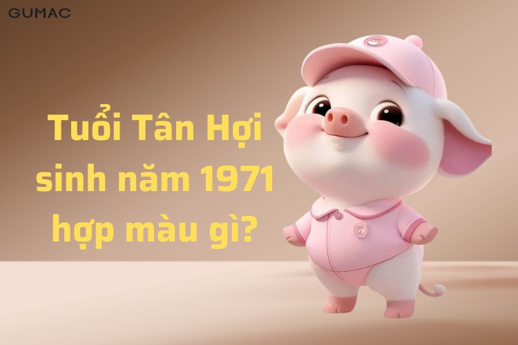 tan hoi tuoi hoi hop mau gi