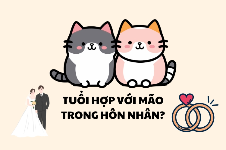 tuoi hop voi mao