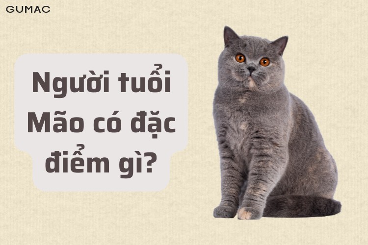 tong quan tuoi mao