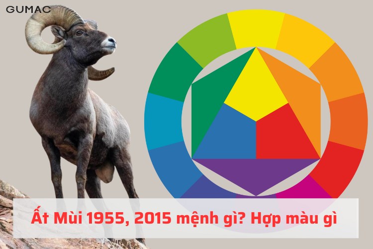 at mui 1955 2015 hop mau gi