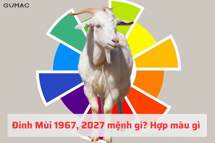 dinh mui 1967 hop mau gi