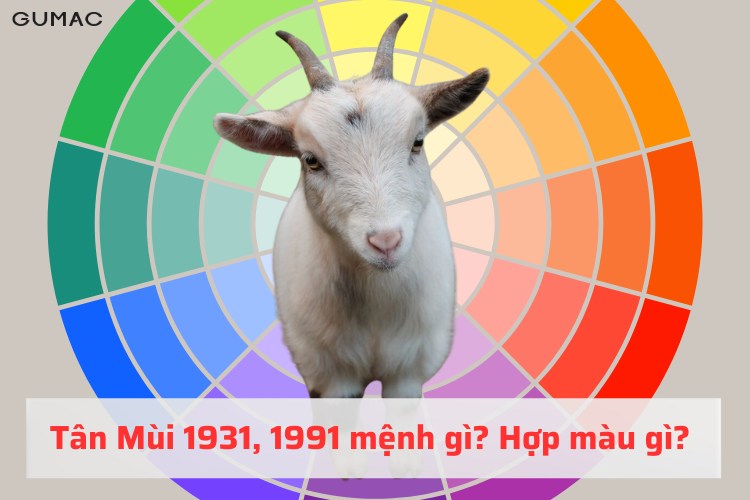tan mui 1991 hop mau gi