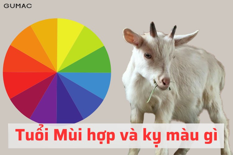 tuoi mui hop va ky mau gi 2026