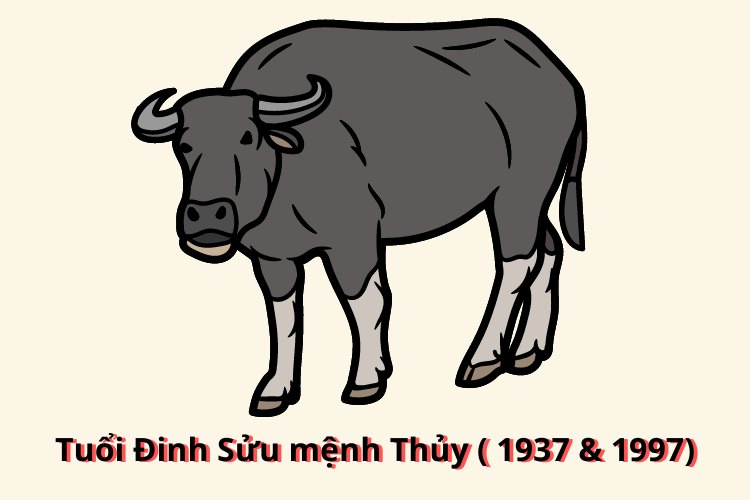 dinh suu 1997 hop mau gi