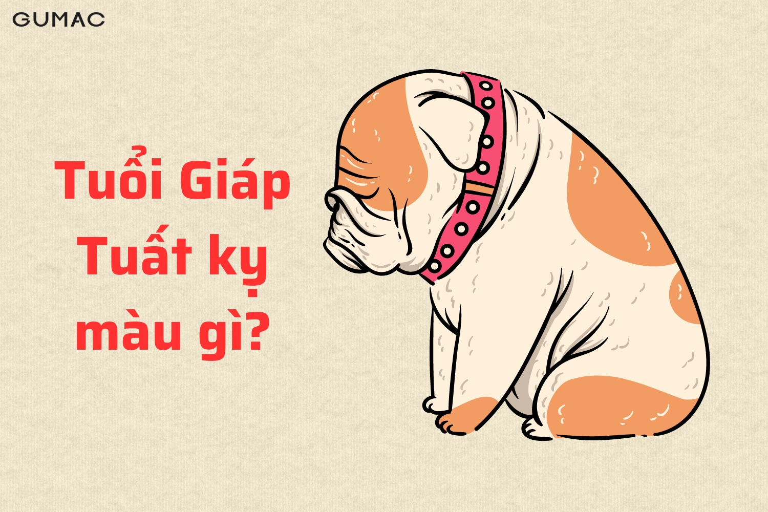 tuoi giap tuat ky mau gi