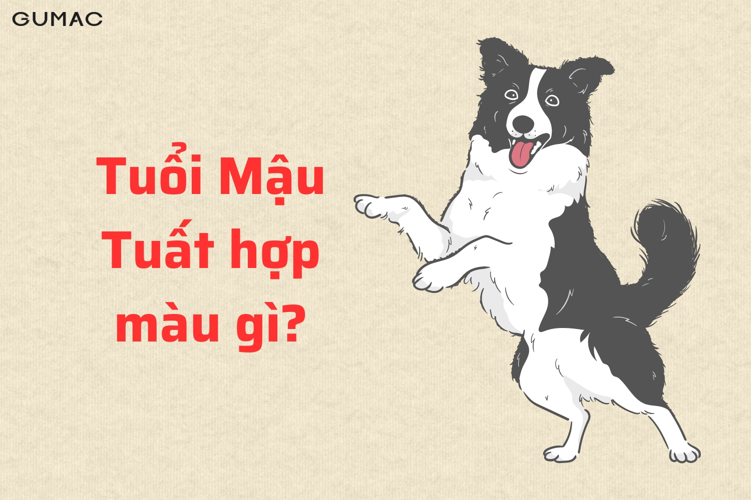 mau tuat 1958 hop mau gi