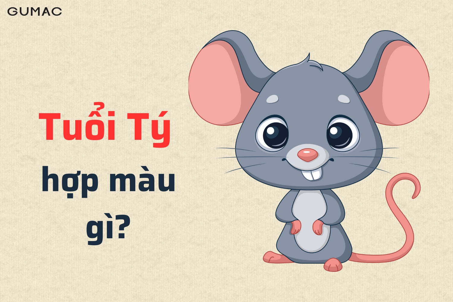 tuoi ty hop mau gi 2026