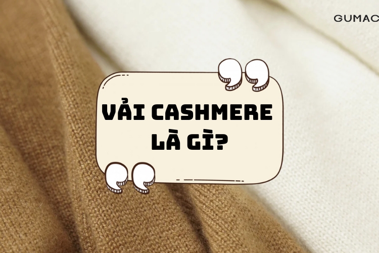 Vai cashmere la gi? Nguon goc cua vai cashmere