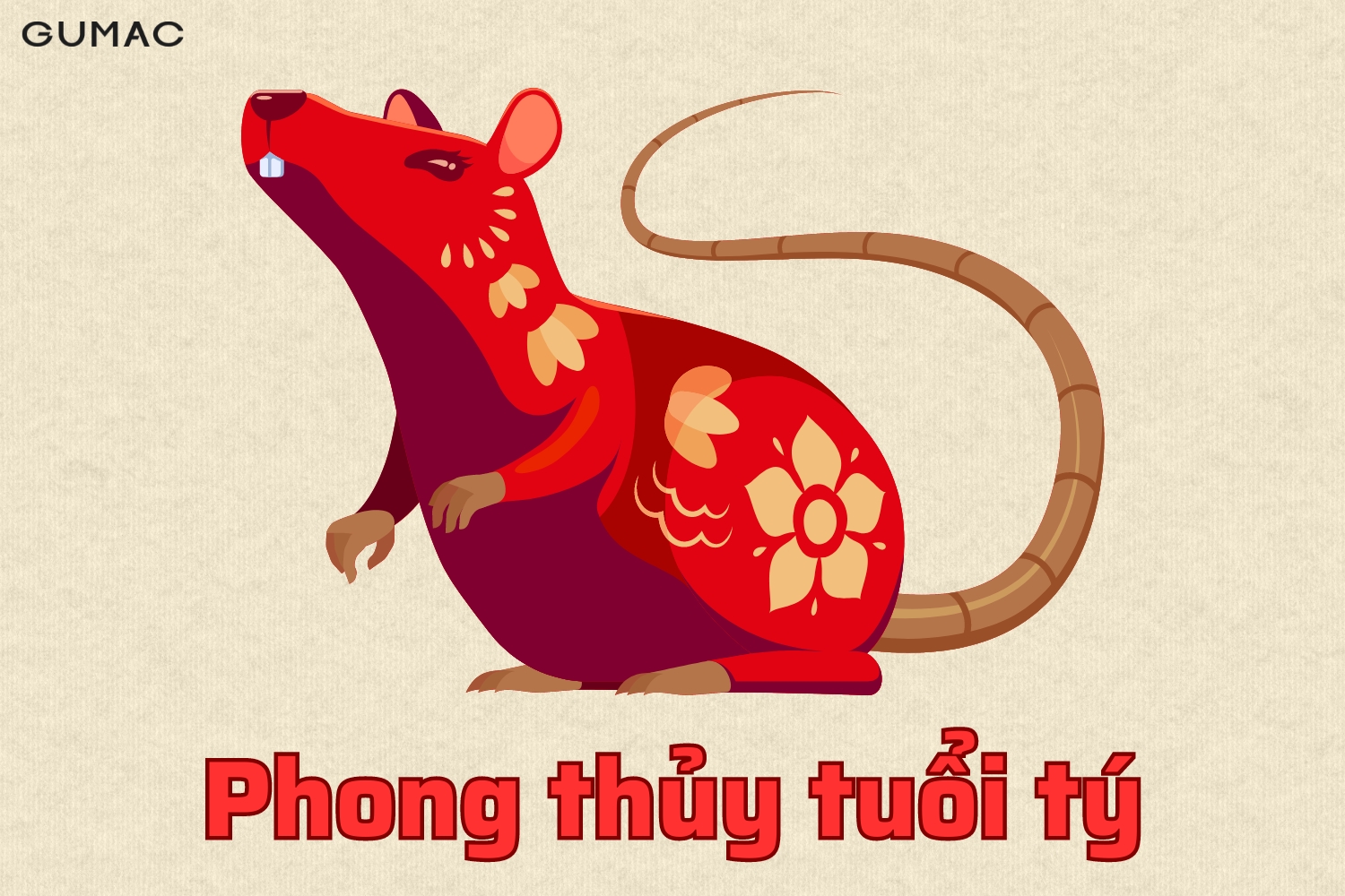 phong thuy tuoi ty